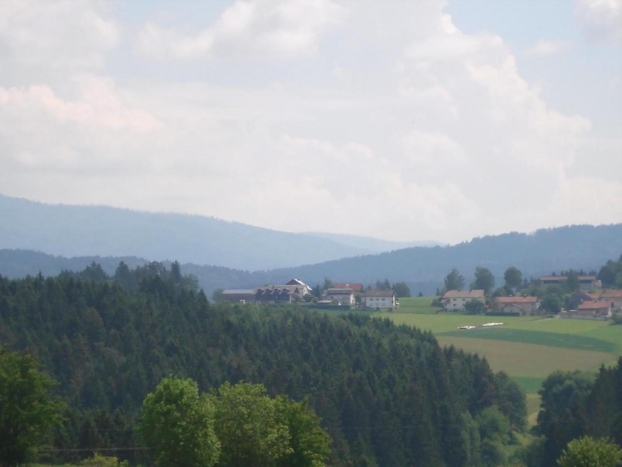 Rinchnach Ferienwohnung Rachel Mit Herrlichem Ausblick מראה חיצוני תמונה